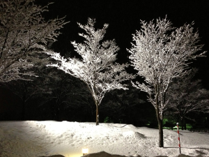 snowscape